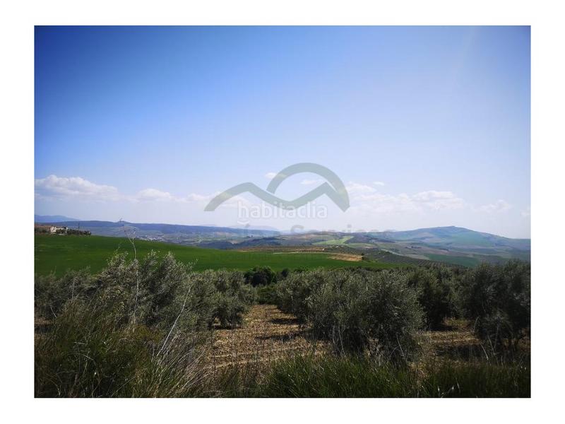 Foto f82b99f6-5232-4433-bb61-86b7e82b12da. Masia a Torre Alháquime Foto f82b99f6-5232-4433-bb61-86b7e82b12da. Masia a Torre Alháquime