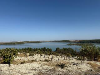 Propriété à Lebrija. Terreno rústico en venta zona balsa melendo, lebrija zona torib Propriété à Lebrija. Terreno rústico en venta zona balsa melendo, lebrija zona torib
