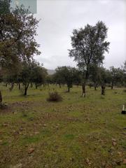 Masia a Nava de Santiago (La). La nava de santiagofinca rustica Masia a Nava de Santiago (La). La nava de santiagofinca rustica