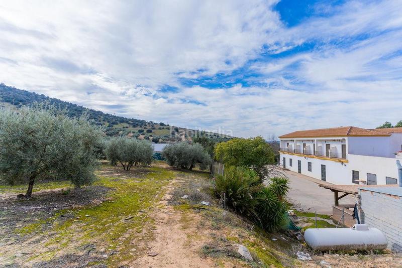 Foto f7ea9b64-6bd6-431b-9f70-ec5e30ebab56. Edifici a del olivar 2 a Villanueva de Algaidas Foto f7ea9b64-6bd6-431b-9f70-ec5e30ebab56. Edifici a del olivar 2 a Villanueva de Algaidas