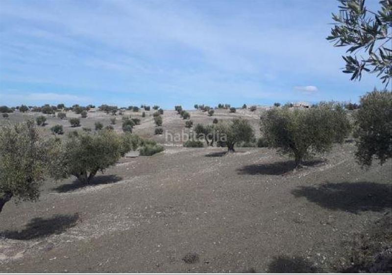 Foto caea0adf-6de0-4773-b5db-708f3bc24c2a. Finca rústica a cerro clamor 16 a Alameda de la Sagra Foto caea0adf-6de0-4773-b5db-708f3bc24c2a. Finca rústica a cerro clamor 16 a Alameda de la Sagra