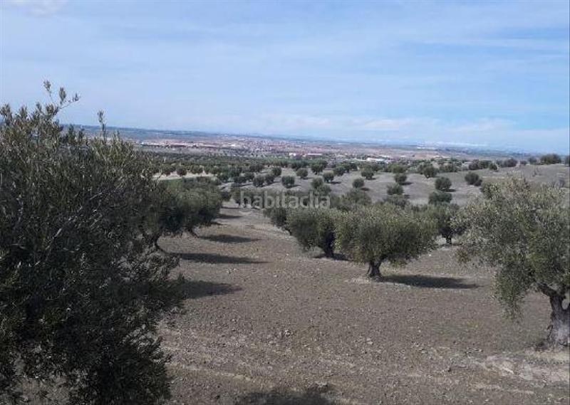 Foto e79e1c4a-61ee-4da3-a2d5-b87e3c7340d2. Finca rústica a cerro clamor 16 a Alameda de la Sagra Foto e79e1c4a-61ee-4da3-a2d5-b87e3c7340d2. Finca rústica a cerro clamor 16 a Alameda de la Sagra