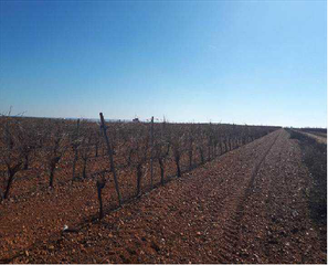 Propriété El paramo/canalite y moranas. Terreno en venta Propriété El paramo/canalite y moranas. Terreno en venta