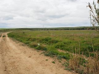 Finca rústica Las pajanosas parcela m-1-11 unidad de ejecución 1. Terreno en venta Finca rústica Las pajanosas parcela m-1-11 unidad de ejecución 1. Terreno en venta