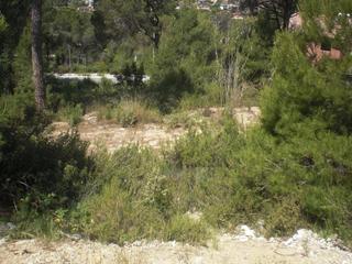 Residential Plot in Ernest hemingway 64. Terreno en venta Residential Plot in Ernest hemingway 64. Terreno en venta
