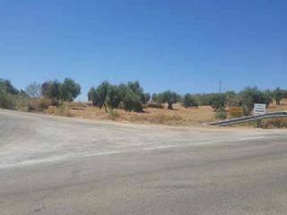 Finca rústica Fresnedilla. Terreno en venta Finca rústica Fresnedilla. Terreno en venta