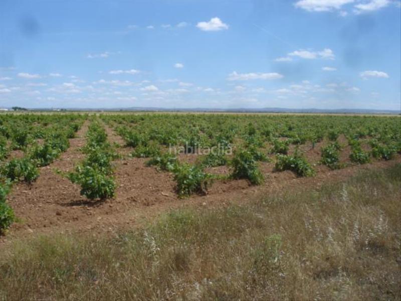 Foto 7f670b31-68cf-4b6d-89d0-6f7eb2630291. Finca rústica a Socuéllamos Foto 7f670b31-68cf-4b6d-89d0-6f7eb2630291. Finca rústica a Socuéllamos