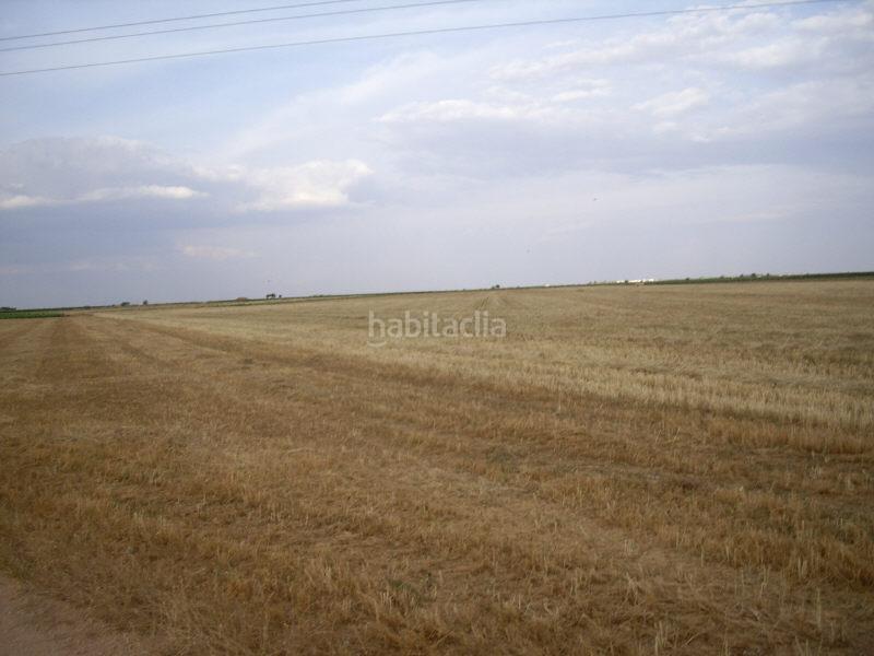 Foto b5cb68fc-ea03-4663-9466-8dd5cd1ed65a. Finca rústica a Socuéllamos Foto b5cb68fc-ea03-4663-9466-8dd5cd1ed65a. Finca rústica a Socuéllamos