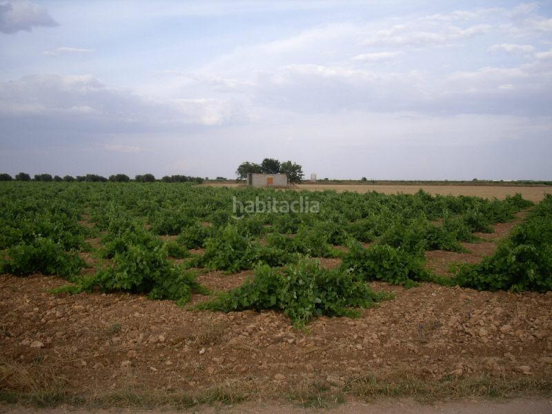 Foto c6d3128a-b8be-41e2-bef4-3a6721ee722a. Finca rústica a Socuéllamos Foto c6d3128a-b8be-41e2-bef4-3a6721ee722a. Finca rústica a Socuéllamos