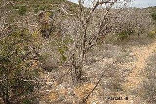 Finca rústica Raco cervo, pol.3 parc.70,18, pol.5 parc.88,161. Terreno en venta Finca rústica Raco cervo, pol.3 parc.70,18, pol.5 parc.88,161. Terreno en venta