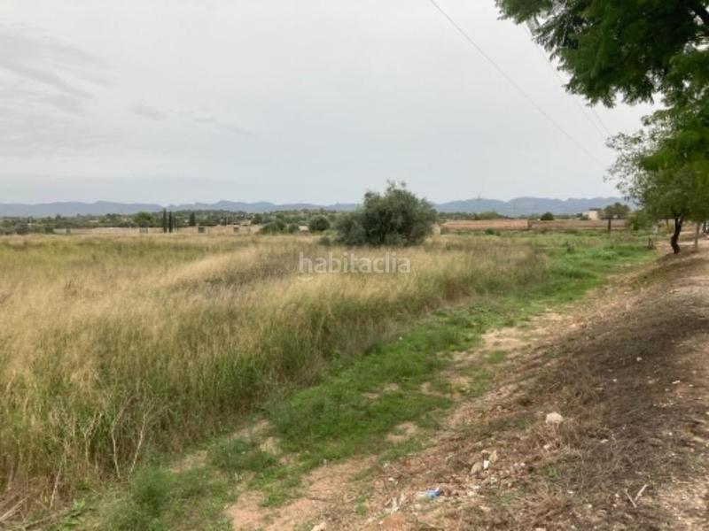 Foto 0f391842-6b20-44a8-9e79-ddaa6a04d800. Terreny residencial a Parque de la Bombilla Llíria Foto 0f391842-6b20-44a8-9e79-ddaa6a04d800. Terreny residencial a Parque de la Bombilla Llíria