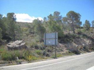 Finca rústica Rm 422 ptdo.maciascaba(pol.2 parc.220). Terreno en venta Finca rústica Rm 422 ptdo.maciascaba(pol.2 parc.220). Terreno en venta