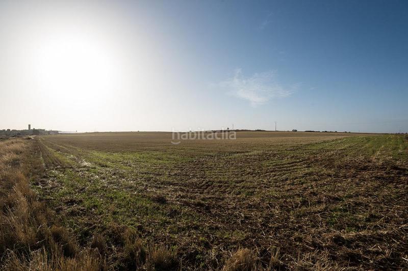 Foto fde6d319-6ce3-45dd-8238-9d92cb9d902f. Terreny residencial a 15-16 sn a Horche Foto fde6d319-6ce3-45dd-8238-9d92cb9d902f. Terreny residencial a 15-16 sn a Horche