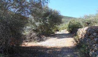 Finca rústica Fueta. Terreno en venta Finca rústica Fueta. Terreno en venta