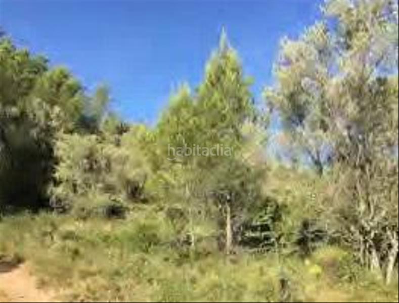 Foto 18813bd2-09e5-495d-85ca-0d97ac15085f. Landgut in Alfara de Carles Foto 18813bd2-09e5-495d-85ca-0d97ac15085f. Landgut in Alfara de Carles