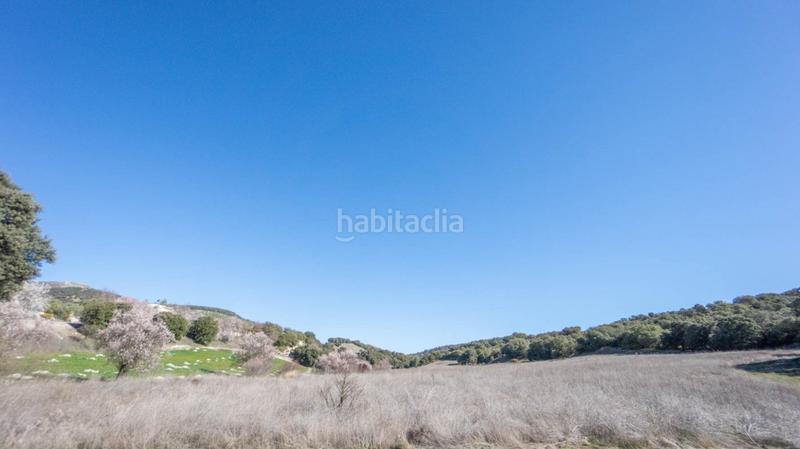 Foto af8d705d-7fe7-4867-a023-fe7bf0b400fe. Casale in Iznalloz Foto af8d705d-7fe7-4867-a023-fe7bf0b400fe. Casale in Iznalloz