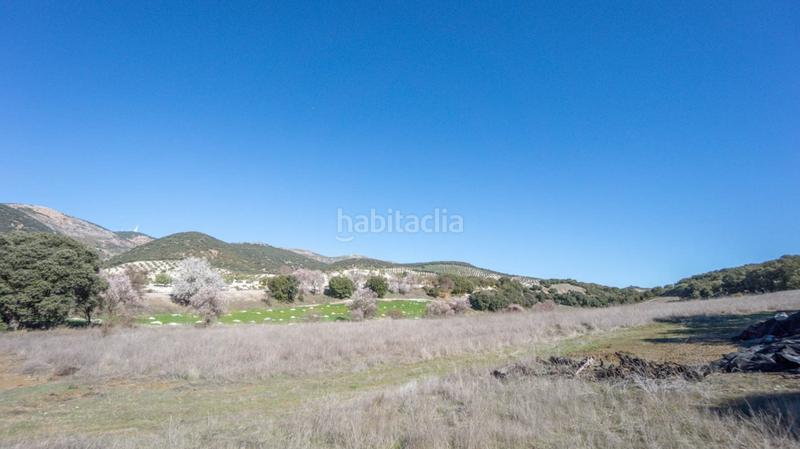 Foto cc3a9052-54ad-4e7c-bb73-bd2c18851b77. Casale in Iznalloz Foto cc3a9052-54ad-4e7c-bb73-bd2c18851b77. Casale in Iznalloz