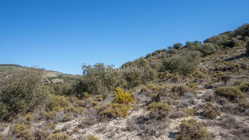 Foto d71cbb54-ac4f-4f4b-b630-fa3a42439bce. Casale in Iznalloz Foto d71cbb54-ac4f-4f4b-b630-fa3a42439bce. Casale in Iznalloz
