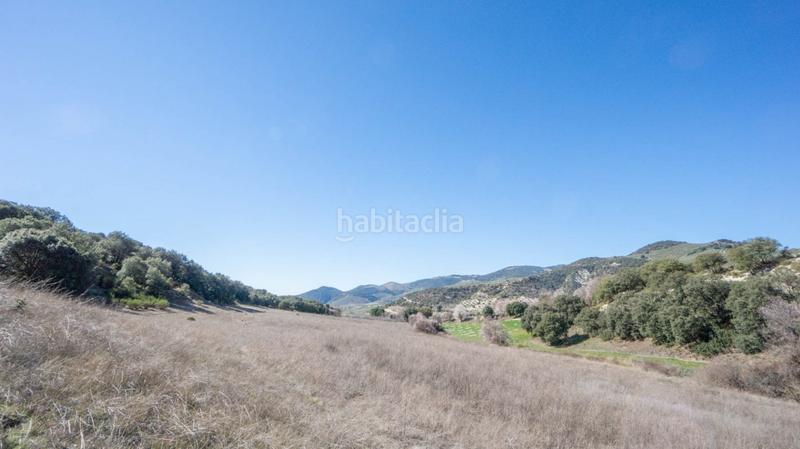 Foto d872b7c5-3755-48db-a8db-47ea7535b2e5. Casale in Iznalloz Foto d872b7c5-3755-48db-a8db-47ea7535b2e5. Casale in Iznalloz