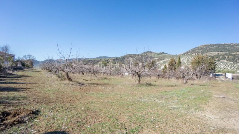 Foto ed7f4376-d30f-4d16-8f6e-977b952f8360. Casale in Iznalloz Foto ed7f4376-d30f-4d16-8f6e-977b952f8360. Casale in Iznalloz