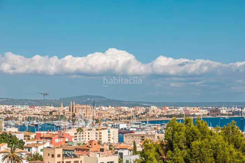 Foto 57a58b64-c667-45a4-9395-f11b178bb0c0. Dachwohnung mit heizung parking in La Bonanova Palma de Mallorca Foto 57a58b64-c667-45a4-9395-f11b178bb0c0. Dachwohnung mit heizung parking in La Bonanova Palma de Mallorca