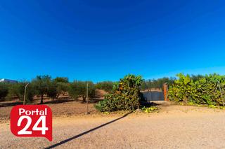 Terreny residencial a Carretera de Sevilla - Los Montitos. Oportunidad de inversión en badajoz amplia parcela en dehesilla Terreny residencial a Carretera de Sevilla - Los Montitos. Oportunidad de inversión en badajoz amplia parcela en dehesilla