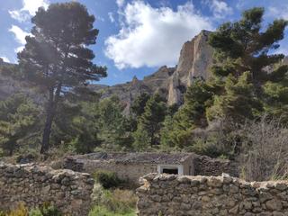 Terreny residencial a Benifato. Gran finca con agua Terreny residencial a Benifato. Gran finca con agua