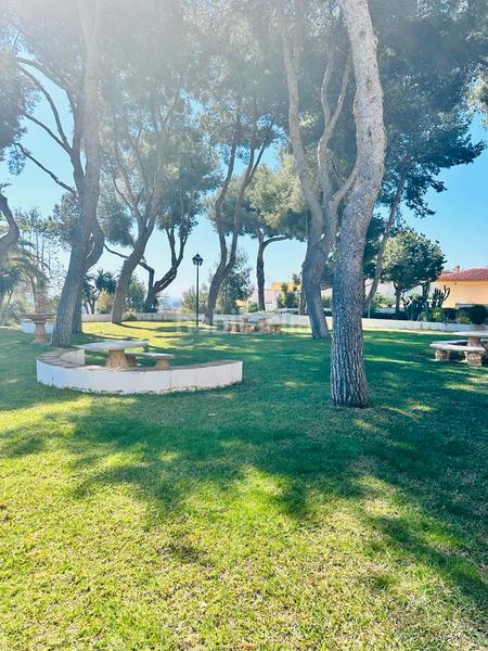 Foto 6bf32f06-73cf-4362-880a-bb4bc720ff48. Lloguer apartament amb piscina a El Pinillo Torremolinos Foto 6bf32f06-73cf-4362-880a-bb4bc720ff48. Lloguer apartament amb piscina a El Pinillo Torremolinos