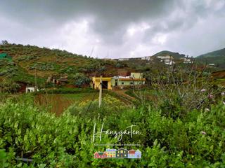 Finca rústica a Santa María de Guía de Gran Canaria. Finca rústita con casa cueva, bascamao sta. maría de guía Finca rústica a Santa María de Guía de Gran Canaria. Finca rústita con casa cueva, bascamao sta. maría de guía