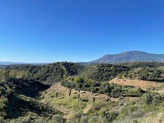 Terreno residencial en Centro Terreno residencial en Centro