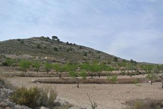 Residential Plot in N/a Residential Plot in N/a