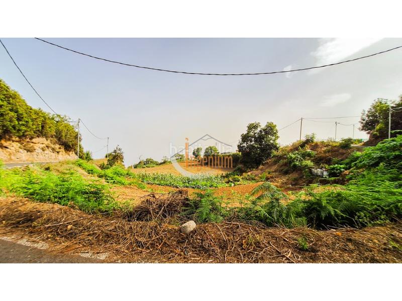 Foto 045192fc-b998-470d-818c-ecdcc5e529cd. Finca rústica fincas rústicas en Palo Blanco Realejos (Los) Foto 045192fc-b998-470d-818c-ecdcc5e529cd. Finca rústica fincas rústicas en Palo Blanco Realejos (Los)