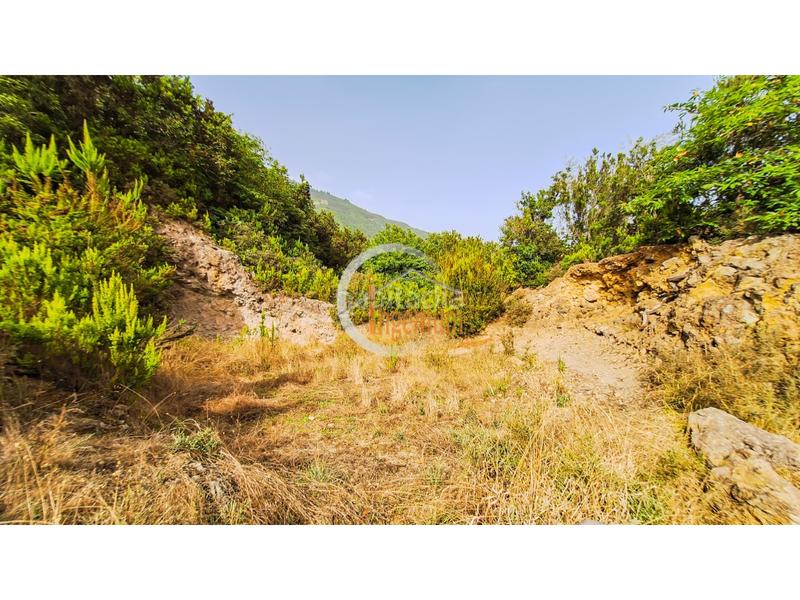 Foto 14a9ecee-c63a-4ef1-823e-5059010dc407. Finca rústica fincas rústicas en Palo Blanco Realejos (Los) Foto 14a9ecee-c63a-4ef1-823e-5059010dc407. Finca rústica fincas rústicas en Palo Blanco Realejos (Los)