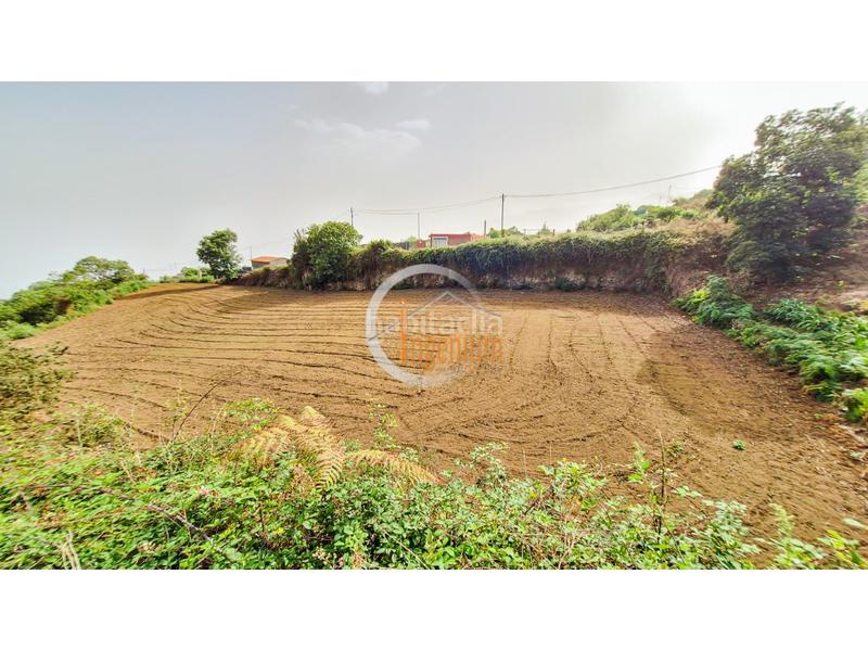 Foto 2943ff7a-fa46-4b71-855d-9b4b5c6fcc4f. Finca rústica fincas rústicas en Palo Blanco Realejos (Los) Foto 2943ff7a-fa46-4b71-855d-9b4b5c6fcc4f. Finca rústica fincas rústicas en Palo Blanco Realejos (Los)