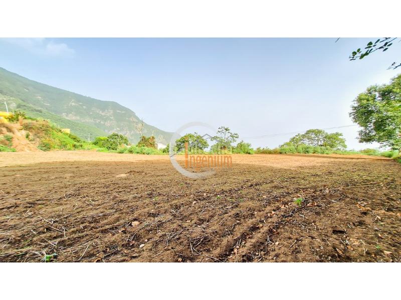 Foto 2b4b0a8a-e87b-4383-ad31-25c5c888fd83. Finca rústica fincas rústicas en Palo Blanco Realejos (Los) Foto 2b4b0a8a-e87b-4383-ad31-25c5c888fd83. Finca rústica fincas rústicas en Palo Blanco Realejos (Los)