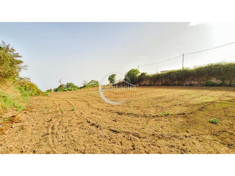 Foto 2f458dde-29a6-4c70-817f-d1ff3499a13d. Finca rústica fincas rústicas en Palo Blanco Realejos (Los) Foto 2f458dde-29a6-4c70-817f-d1ff3499a13d. Finca rústica fincas rústicas en Palo Blanco Realejos (Los)