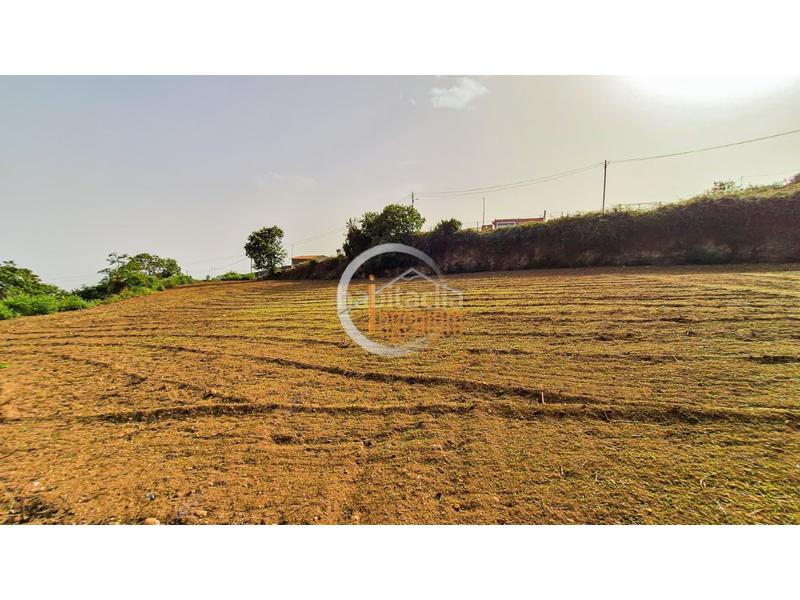 Foto 370f03cd-dcd5-403f-befc-85a52f9989ea. Finca rústica fincas rústicas en Palo Blanco Realejos (Los) Foto 370f03cd-dcd5-403f-befc-85a52f9989ea. Finca rústica fincas rústicas en Palo Blanco Realejos (Los)