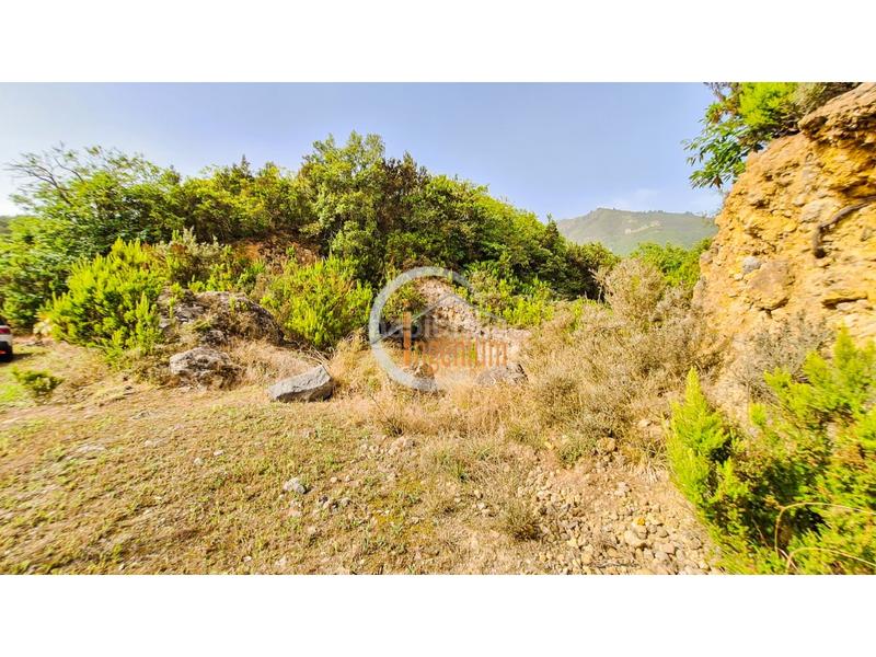 Foto 37355dfe-69a2-477d-adcc-66013ce53dbf. Finca rústica fincas rústicas en Palo Blanco Realejos (Los) Foto 37355dfe-69a2-477d-adcc-66013ce53dbf. Finca rústica fincas rústicas en Palo Blanco Realejos (Los)