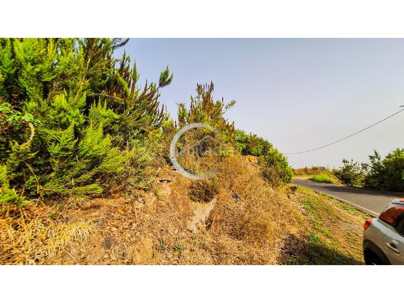 Foto 490bf365-44b6-4e88-9893-3ce94babe9a5. Finca rústica fincas rústicas en Palo Blanco Realejos (Los) Foto 490bf365-44b6-4e88-9893-3ce94babe9a5. Finca rústica fincas rústicas en Palo Blanco Realejos (Los)