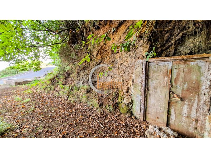 Foto 4d50f3ac-a7f6-4dde-90d9-f50c3f0888fb. Finca rústica fincas rústicas en Palo Blanco Realejos (Los) Foto 4d50f3ac-a7f6-4dde-90d9-f50c3f0888fb. Finca rústica fincas rústicas en Palo Blanco Realejos (Los)