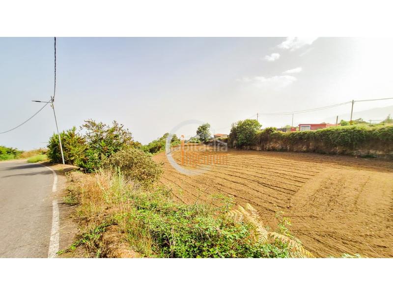 Foto 56e3320a-bd95-4f7b-90e4-c19e7226deb0. Finca rústica fincas rústicas en Palo Blanco Realejos (Los) Foto 56e3320a-bd95-4f7b-90e4-c19e7226deb0. Finca rústica fincas rústicas en Palo Blanco Realejos (Los)