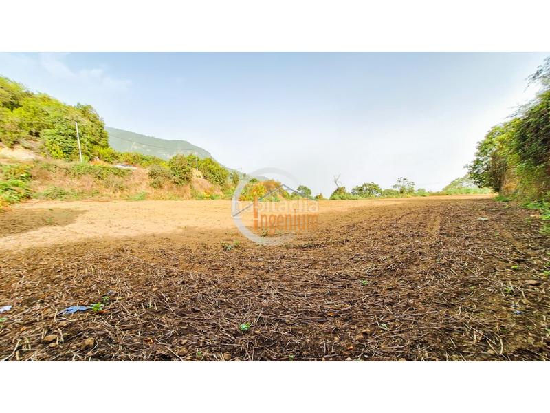 Foto 5b5f63b8-108c-427e-aa19-b0e1577a6d11. Finca rústica fincas rústicas en Palo Blanco Realejos (Los) Foto 5b5f63b8-108c-427e-aa19-b0e1577a6d11. Finca rústica fincas rústicas en Palo Blanco Realejos (Los)