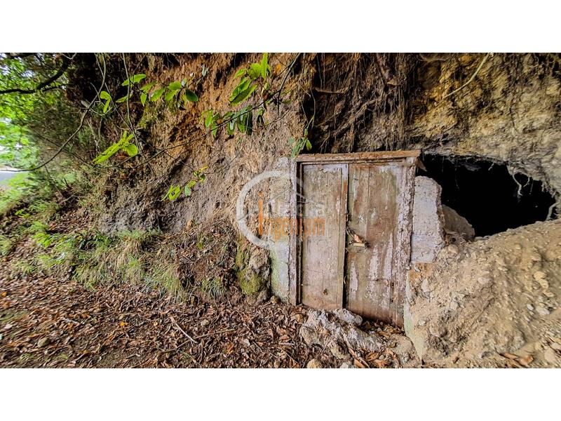 Foto 5fe3c275-6433-4529-b88c-dbf1b6529e37. Finca rústica fincas rústicas en Palo Blanco Realejos (Los) Foto 5fe3c275-6433-4529-b88c-dbf1b6529e37. Finca rústica fincas rústicas en Palo Blanco Realejos (Los)