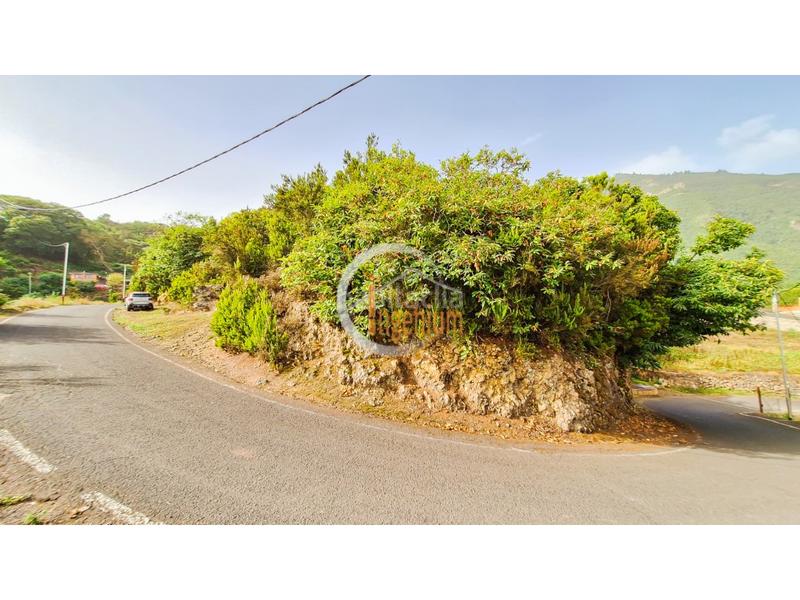 Foto 69a06999-64fa-4541-b429-2b1d65e1728b. Finca rústica fincas rústicas en Palo Blanco Realejos (Los) Foto 69a06999-64fa-4541-b429-2b1d65e1728b. Finca rústica fincas rústicas en Palo Blanco Realejos (Los)