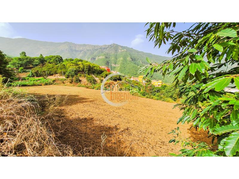 Foto 702479e1-080b-487f-90cb-f65c54fdf4b0. Finca rústica fincas rústicas en Palo Blanco Realejos (Los) Foto 702479e1-080b-487f-90cb-f65c54fdf4b0. Finca rústica fincas rústicas en Palo Blanco Realejos (Los)