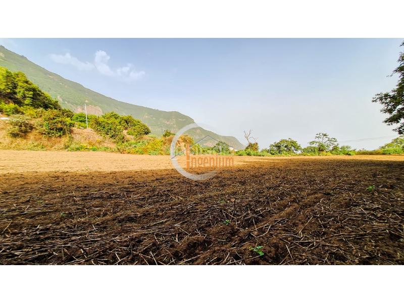 Foto 734cb588-e8f0-4c91-a28a-0bd186f16d91. Finca rústica fincas rústicas en Palo Blanco Realejos (Los) Foto 734cb588-e8f0-4c91-a28a-0bd186f16d91. Finca rústica fincas rústicas en Palo Blanco Realejos (Los)