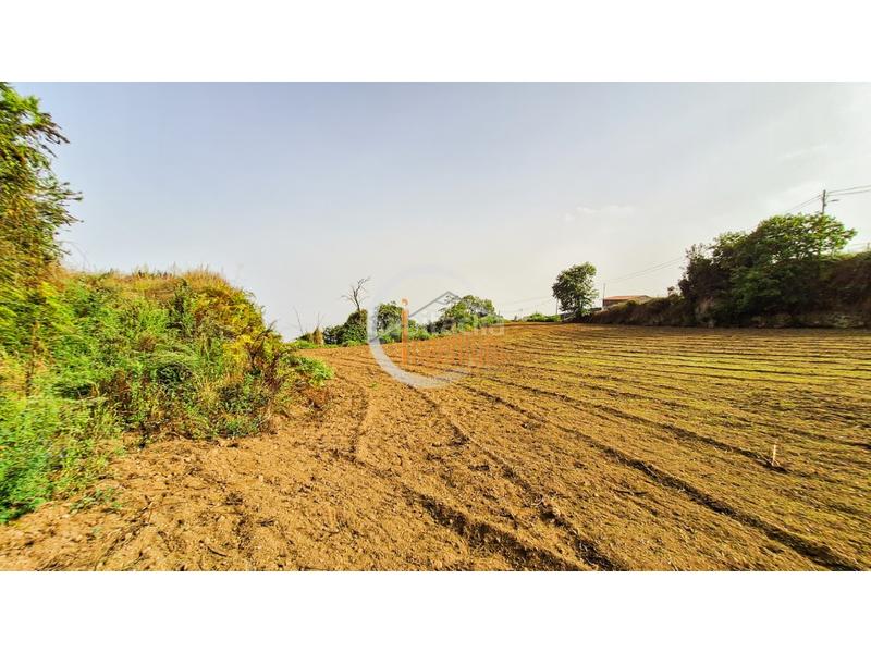 Foto 9a28372f-0638-47e5-9a04-e91f43e0b033. Finca rústica fincas rústicas en Palo Blanco Realejos (Los) Foto 9a28372f-0638-47e5-9a04-e91f43e0b033. Finca rústica fincas rústicas en Palo Blanco Realejos (Los)