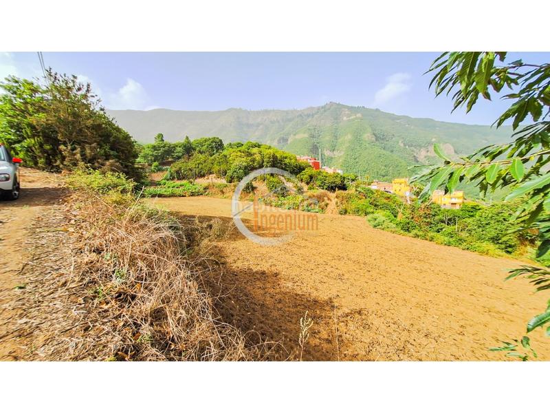 Foto 9cf921a3-62d3-431c-980f-fbbf4a08ed09. Finca rústica fincas rústicas en Palo Blanco Realejos (Los) Foto 9cf921a3-62d3-431c-980f-fbbf4a08ed09. Finca rústica fincas rústicas en Palo Blanco Realejos (Los)