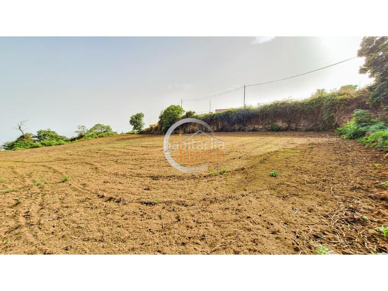 Foto a446bda2-61a4-4348-87bf-e36190e45f09. Finca rústica fincas rústicas en Palo Blanco Realejos (Los) Foto a446bda2-61a4-4348-87bf-e36190e45f09. Finca rústica fincas rústicas en Palo Blanco Realejos (Los)