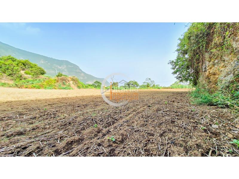 Foto bdf92f49-3c46-4582-b2d6-1a1055cab6a9. Finca rústica fincas rústicas en Palo Blanco Realejos (Los) Foto bdf92f49-3c46-4582-b2d6-1a1055cab6a9. Finca rústica fincas rústicas en Palo Blanco Realejos (Los)